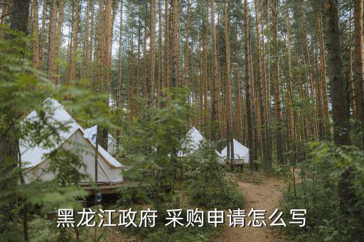 黑龍江政府 采購申請怎么寫