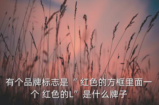 紅色logo的品牌,香港設(shè)計(jì)師陳冠希創(chuàng)立冷凝集團(tuán)品牌名稱(chēng)