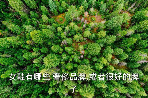 奢侈品牌鞋子排名,意大利時尚品牌洛杉磯時裝周走紅毯熱銷