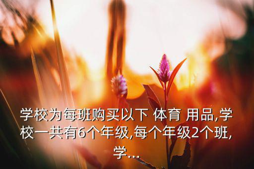 學(xué)校為每班購買以下 體育 用品,學(xué)校一共有6個(gè)年級,每個(gè)年級2個(gè)班,學(xué)...