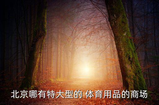 北京哪有特大型的 體育用品的商場(chǎng)
