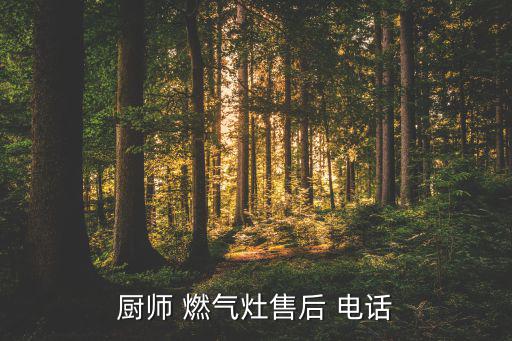 廚師 燃?xì)庠钍酆?電話(huà)
