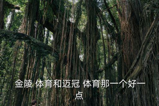  金陵 體育和邁冠 體育那一個好一點