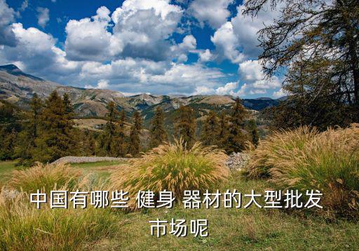 蘭州健身器材市場(chǎng)在什么地方啊,蘭州沒有專門健身器材批發(fā)市場(chǎng)