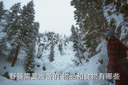  野餐需要準(zhǔn)備的 物品和食物有哪些