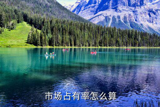 市場占有率和市場份額,市場占有率計(jì)算方法:整體市場代表企業(yè)