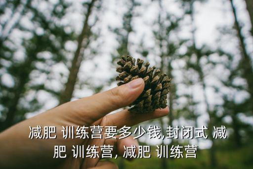 廊坊減肥訓(xùn)練營價(jià)目表,已關(guān)閉的減肥訓(xùn)練營有哪些呢?