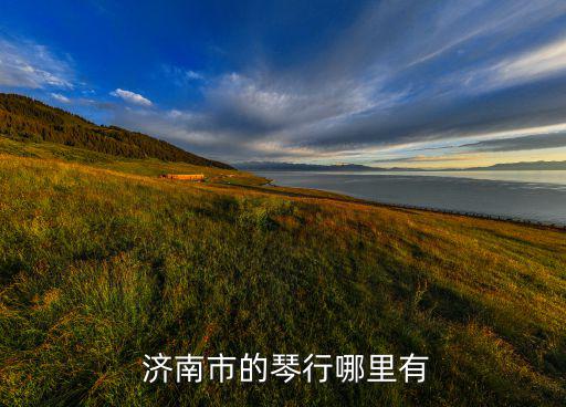 濟(jì)南樂器批發(fā)市場在哪,山東音樂學(xué)院附近有專業(yè)樂器售賣