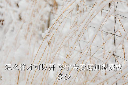 怎么樣才可以開(kāi) 李寧專(zhuān)賣(mài)店加盟費(fèi)要多少