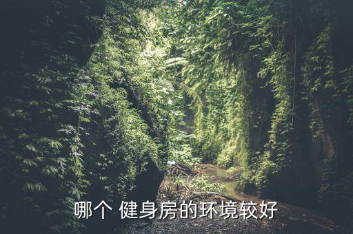 固始健身房哪個(gè)好,健身房你可以在這里鍛煉身體?