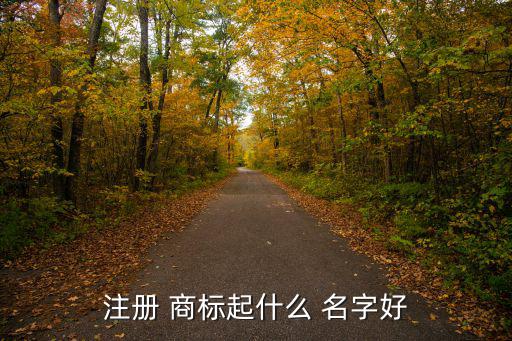 注冊 商標起什么 名字好
