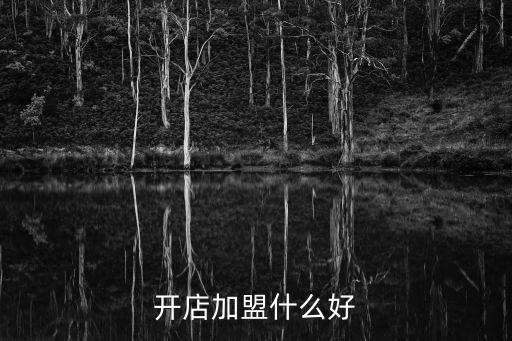 開店加盟什么好