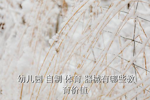  幼兒園 自制 體育 器械有哪些教育價(jià)值