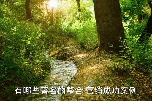 好的營(yíng)銷(xiāo)方案例子,從零開(kāi)始做網(wǎng)絡(luò)營(yíng)銷(xiāo)賺錢(qián)?