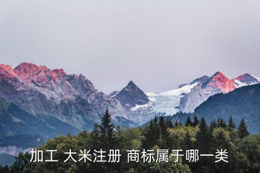 加工 大米注冊 商標屬于哪一類