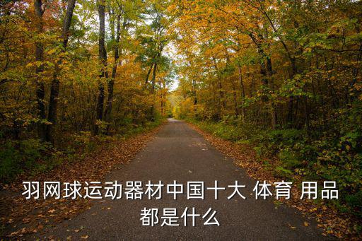 羽網(wǎng)球運動器材中國十大 體育 用品都是什么