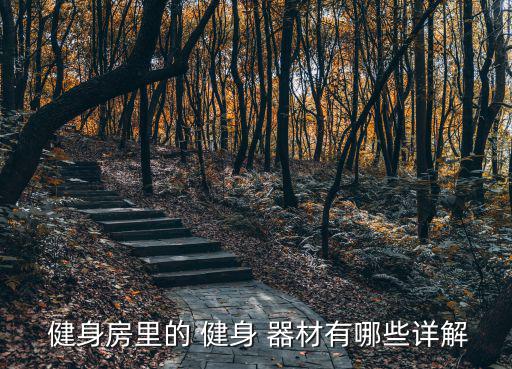  健身房里的 健身 器材有哪些詳解