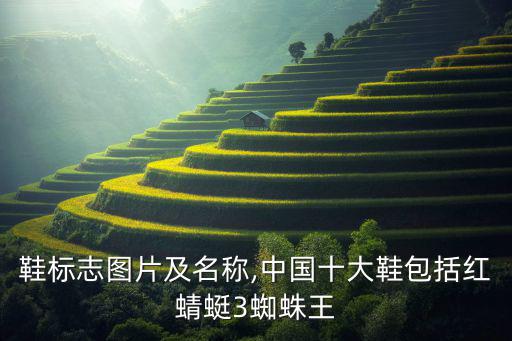 名牌鞋標(biāo)志圖片及名稱(chēng),中國(guó)十大鞋包括紅蜻蜓3蜘蛛王