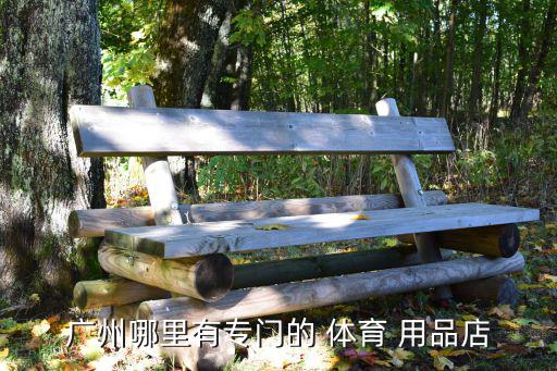 體育用品在哪里賣好呢,天河區(qū)兩大體育用品商場一個(gè)走品牌路線