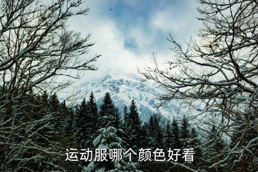 運(yùn)動(dòng)套裝男裝ad大s,男裝運(yùn)動(dòng)服裝哪些經(jīng)典搭配最帥?