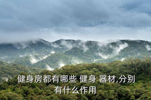  健身房都有哪些 健身 器材,分別有什么作用