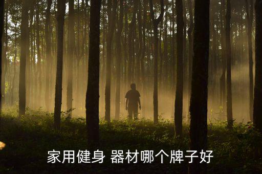 家用健身 器材哪個牌子好