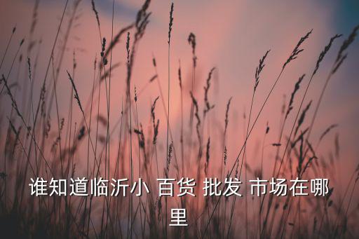 誰(shuí)知道臨沂小 百貨 批發(fā) 市場(chǎng)在哪里
