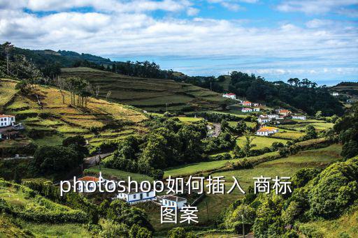 photoshop如何插入 商標(biāo) 圖案