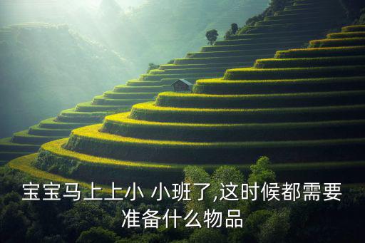 小班適合什么體育用品,媽媽需準備好寶寶的專用水壺和小書包