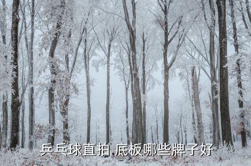  乒乓球直拍 底板哪些牌子好