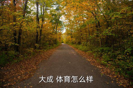 贏牌體育用品公司怎么樣,勝利體育是臺灣羽毛球運(yùn)動用品制造商