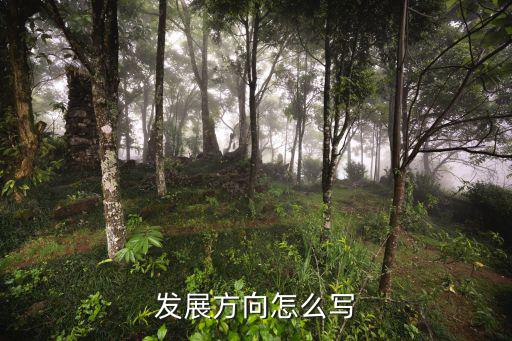 體育用品都有什么職位,選擇自己擅長的領(lǐng)域和方向盤