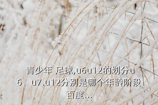 青少年U6足球訓(xùn)練教案,足球小將如何培養(yǎng)青少年足球意識