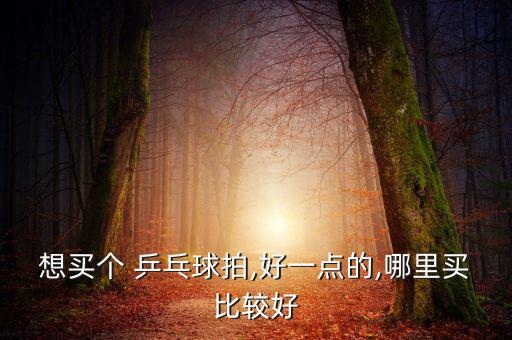 乒乓球用品專賣,易，乒乓球專賣店為顧客提供最專業(yè)、滿意服務