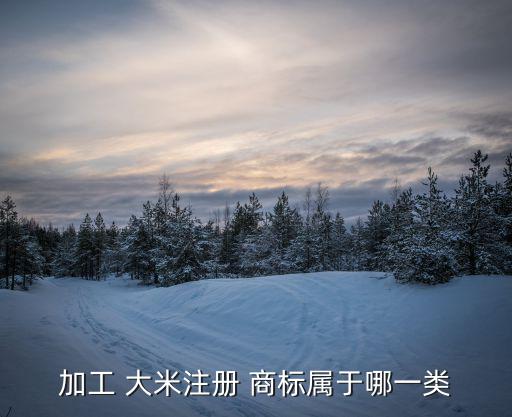 加工 大米注冊 商標屬于哪一類