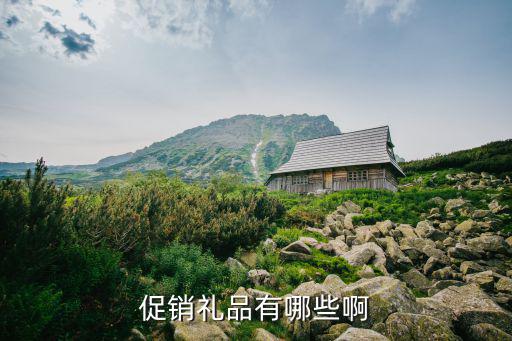 獎(jiǎng)品體育用品有哪些產(chǎn)品,促銷贈(zèng)品與主產(chǎn)品相關(guān)性強(qiáng)