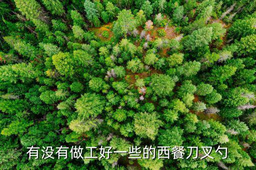 有沒有做工好一些的西餐刀叉勺