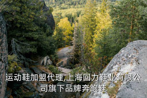 品牌運(yùn)動(dòng)鞋加盟代理,上?；亓π瑯I(yè)有限公司旗下品牌奔跑鞋