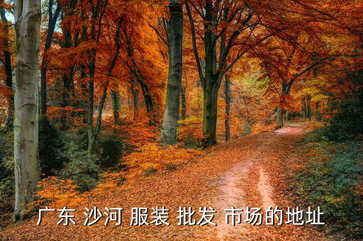 廣東 沙河 服裝 批發(fā) 市場的地址