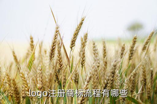 Logo查詢,商標(biāo)logo申請(qǐng)流程:商標(biāo)注冊(cè)流程