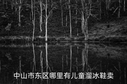 中山市東區(qū)哪里有兒童溜冰鞋賣(mài)
