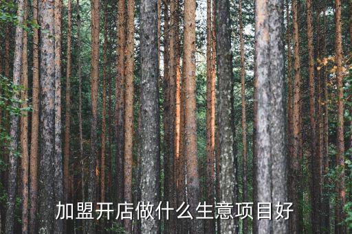 加盟開店做什么生意項(xiàng)目好