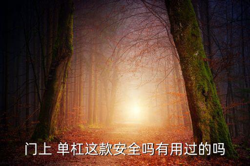 門上 單杠這款安全嗎有用過的嗎