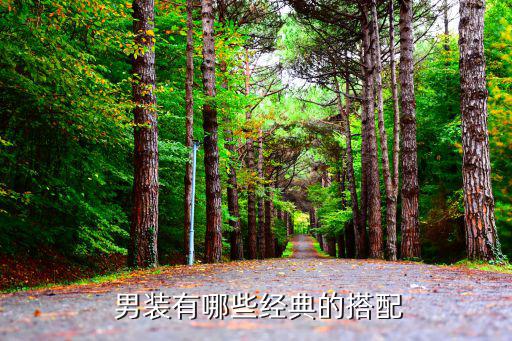  男裝有哪些經(jīng)典的搭配