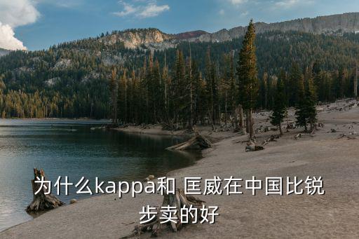 為什么kappa和 匡威在中國比銳步賣的好