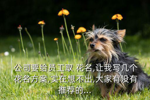公司花名大全兩個(gè)字,公司內(nèi)部同事可以通過花名進(jìn)行聯(lián)系