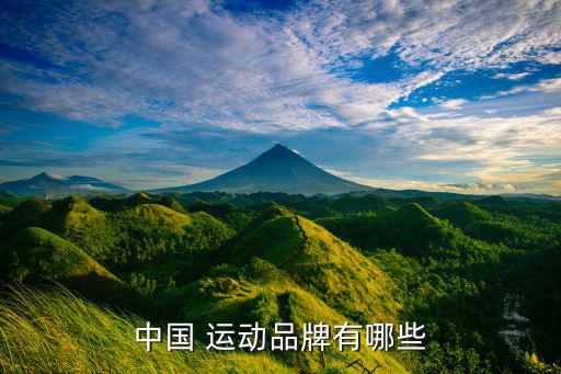 運(yùn)動(dòng)品牌有哪些,匹克運(yùn)動(dòng)品牌成立于1989年全球知名度高