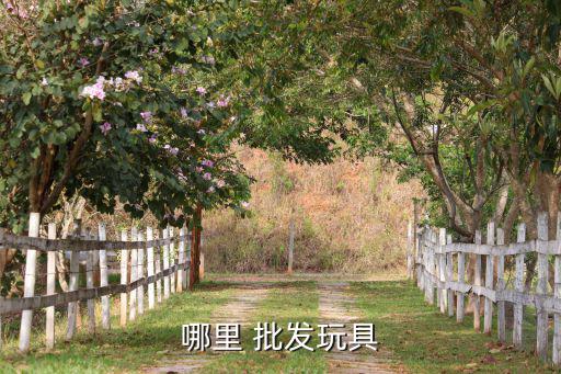 哪里 批發(fā)玩具