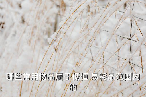 體育用品易耗品有哪些用途,高值易耗品按用途分為以下幾類(lèi)