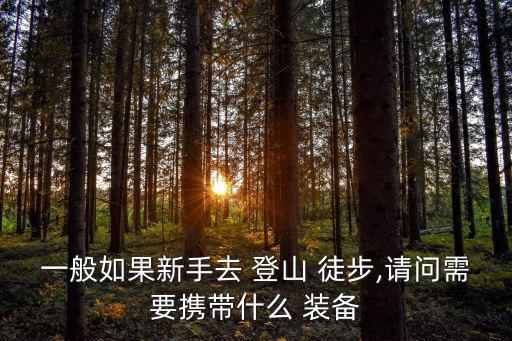一般如果新手去 登山 徒步,請問需要攜帶什么 裝備